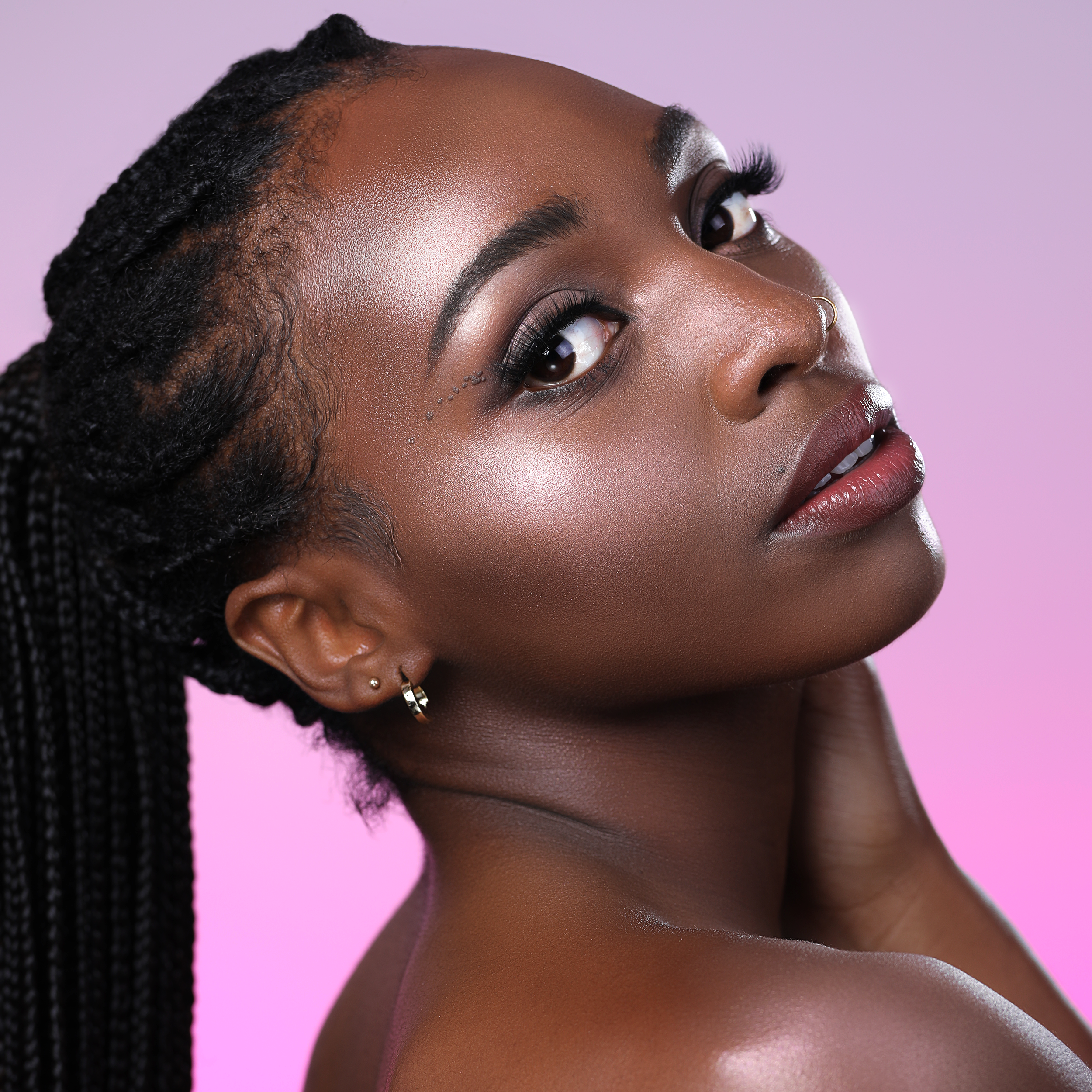 Dreamlight Highlighter Bundle (001-008)