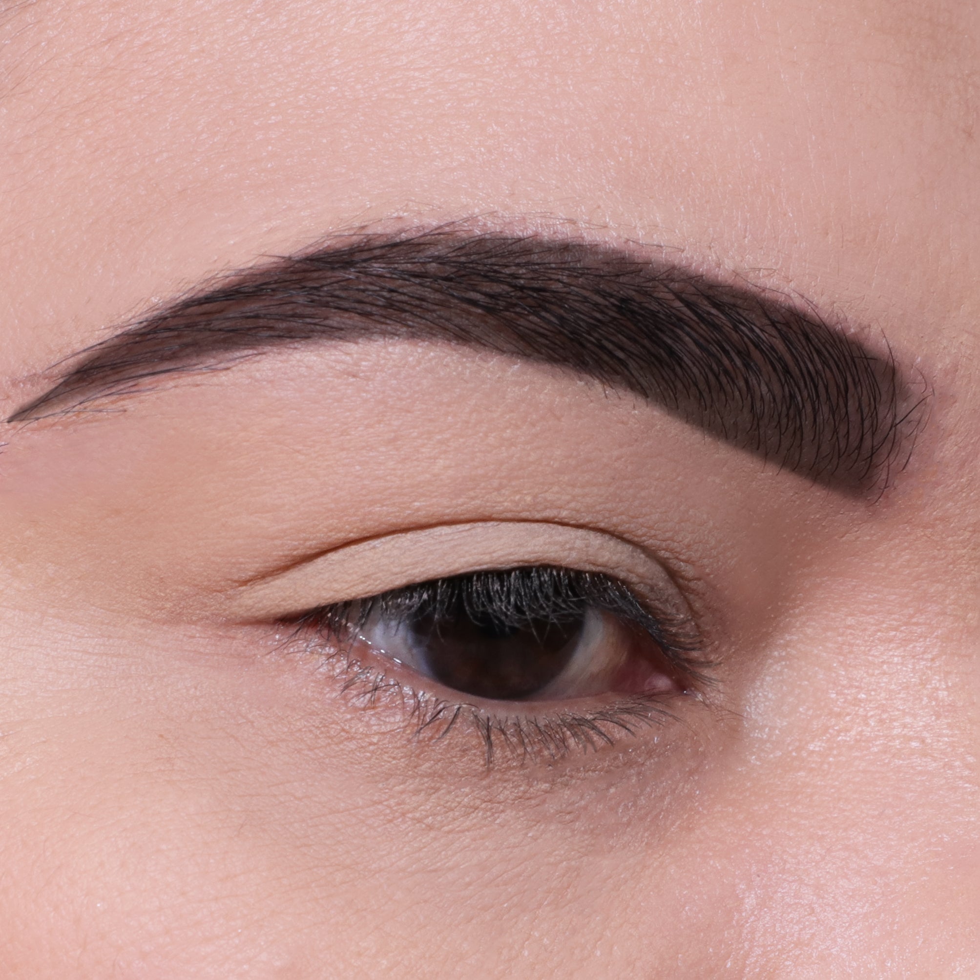 Brow Defying Gel (006, Deep Ebony)