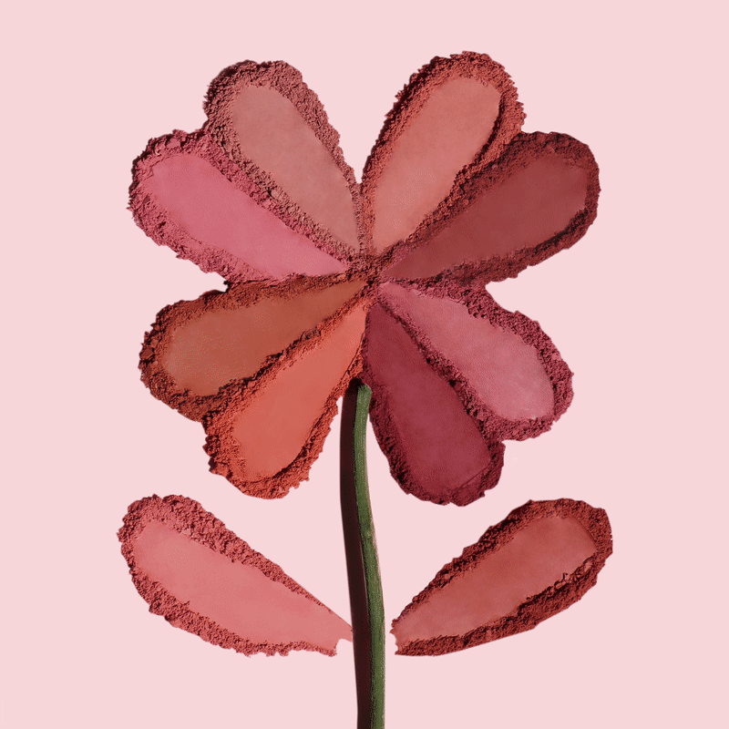 Lucky Chance Blush (009, Monroe)